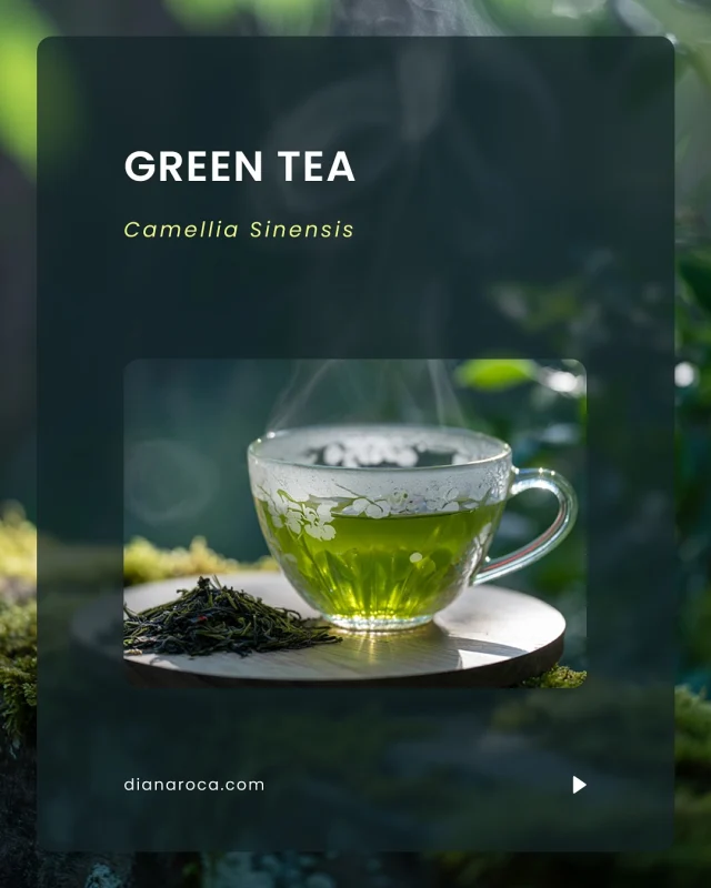 🫖 From your teacup to your skincare, green tea is a true multitasker! 💚 Packed with antioxidants, anti-inflammatory and skin-repairing powers, it’s more than just a relaxing drink.Swipe through for ideas to bring green tea into your beauty rituals and your treats, from soothing face mists to creamy matcha lattes and even dreamy desserts. 🍵 🧁What’s your favourite way to enjoy green tea? Read the full article at dianaroca.com (link in bio)🎨 Custom Figma Design by @dianaroca.art#greenteabenefits #matchagreentea #matchalove #naturalbeauty #tealovers #skincarefromnature #healthyskintips